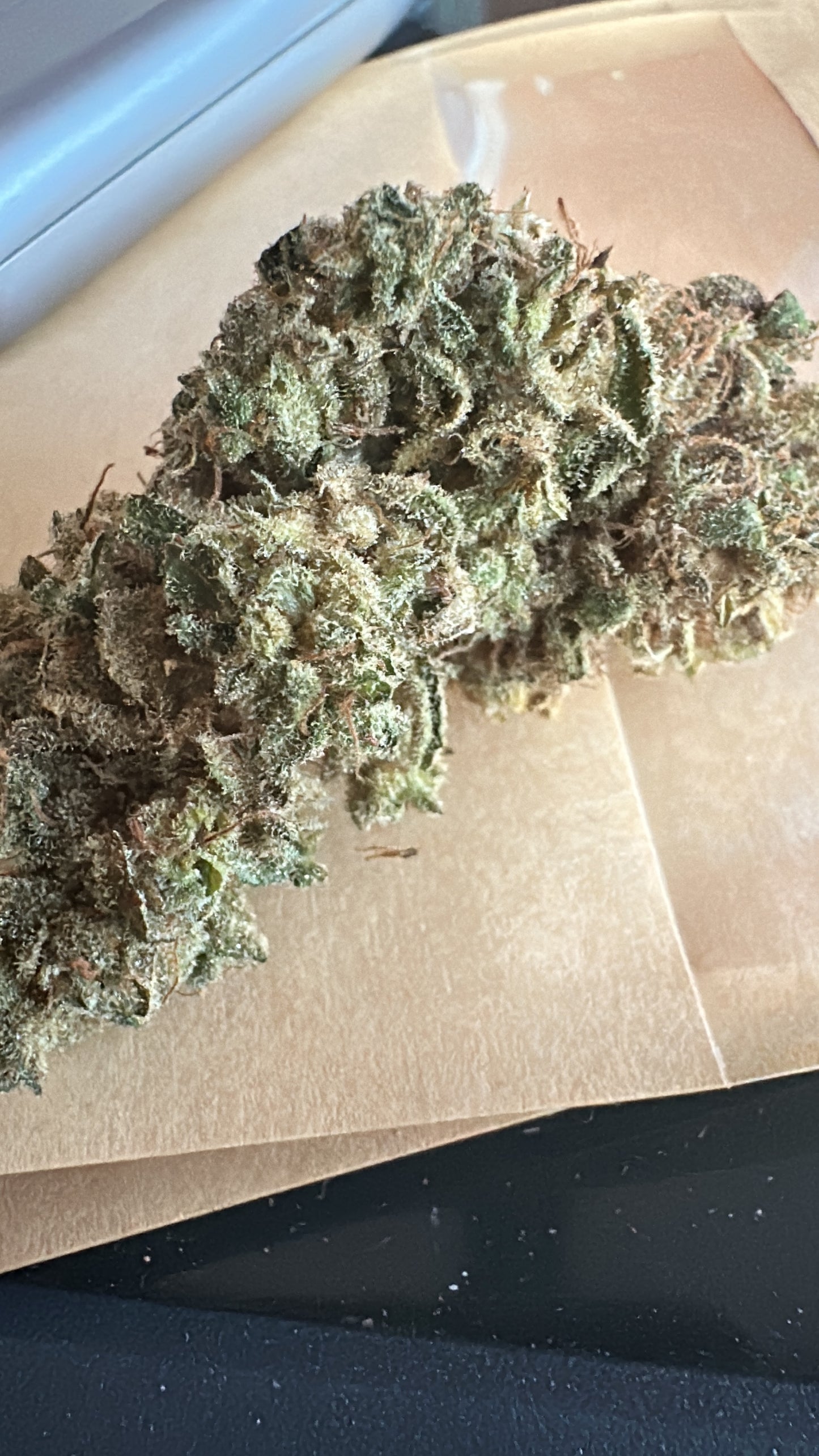 Orange fritter hydroponie đ«đ·