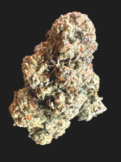 White rhino
