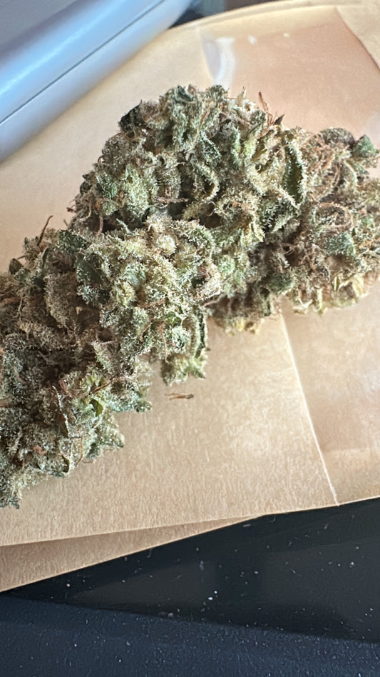 Orange fritter hydroponie 🇫🇷